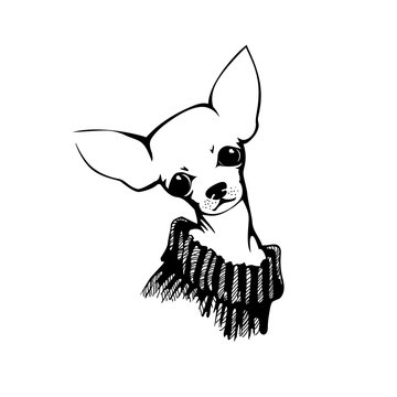 8 476 Best Chihuahua Vector Images Stock Photos Vectors Adobe Stock