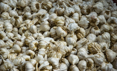 Garlic on sale