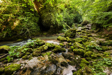 Fototapeta premium River flowing through a gorgeous canyon