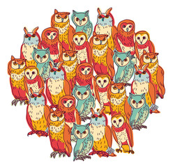Group owls isolate on white