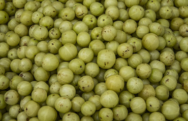 Green emblica on sale