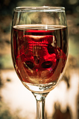 Skull in wine