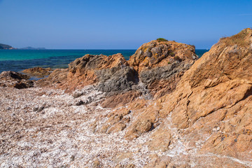 Dry algae on rocky Mediterranean coast