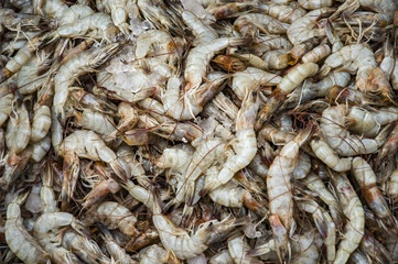 Frozen prawns