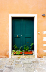 Fototapeta na wymiar entrance green door of old building house