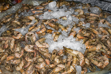 Sea prawns frozen with ice