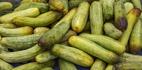 Cucumbers on sale