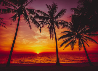 plage tropicale au coucher du soleil. Beau coucher de soleil