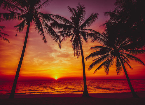 Fototapeta sunset tropical beach.  Beautiful sunset