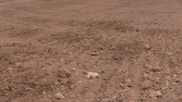 Soil earth and tractor spread fertilizer on field. Heavy agricultural machinery. Planting sow crops. Tilt up shot on Canon XA25. Full HD 1080p. Progressive scan 25fps. Tripod.
