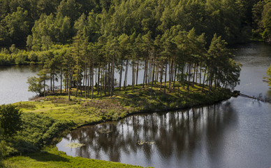 Fototapeta premium Tarn Howes, English Lake District, Cumbria, England, UK.