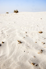 Vertical frame of white sand in the desert, blue sky, some plant