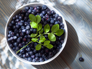 fresh blueberries