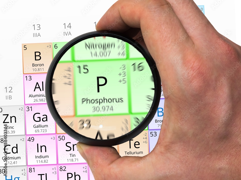 Wall mural Phosphorus symbol - P. Element of the periodic table zoomed with - Wall murals