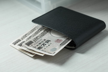 money wallet