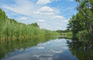 Fototapety  Rzeka Poland.Brda latem. Widok poziomy