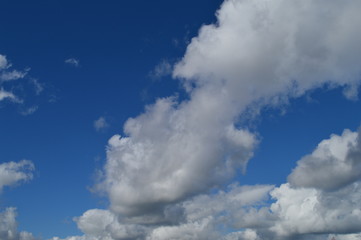 Summer blue sky with fluffy white clouds