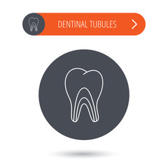 Dentinal tubules icon. Tooth medicine sign.