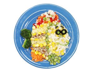 creative vegetable food dinner fish form