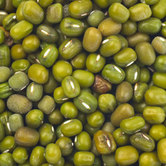 Green beans or mung beans
