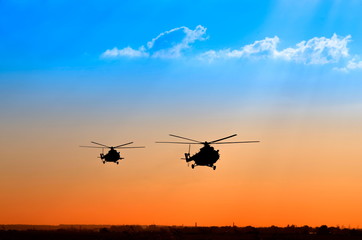 Fototapeta na wymiar landing two helicopters