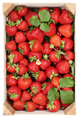 Erdbeeren Beeren Früchte in Holzkiste Ernte von oben