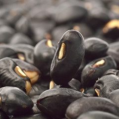 Black beans background