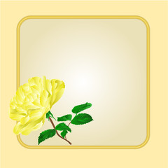 Golden frame with  yellow rose vector