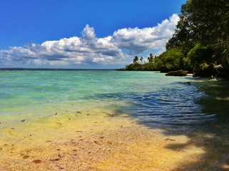 Obraz premium Tropical beach with vegetation
