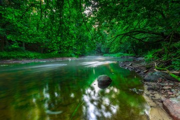 Naklejka na ściany i meble Beautiful wild river in summertime green forest
