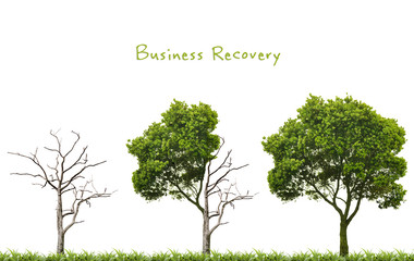 Business recovery concept