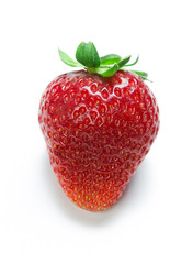 Strawberry isolated