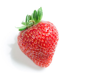 Strawberry isolated