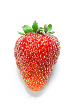 Strawberry isolated