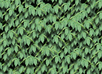 Fototapeta na wymiar Seamless green leaves pattern