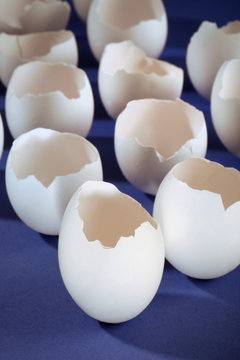 Mehrere weisse  Eierschalen