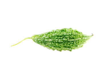 wild Bitter Gourd