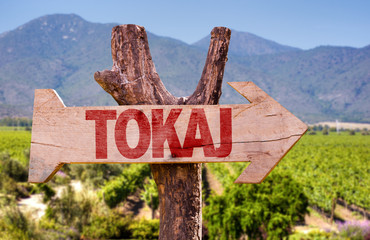 Fototapeta premium Tokai wooden sign with winery background