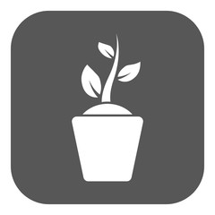 The sprout wreath icon. Plant and herb, nature symbol. Flat