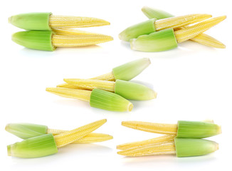 baby corn isolated on white background © nipaporn