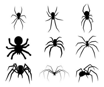 Set of black silhouette spider icon isolated on white background