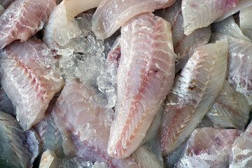 Fish exposed in fish market