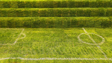 Soccer Grass