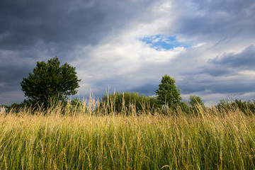 Landscape With Clouds