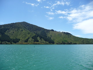 Bootstour durch die Marlborough Sounds, S&uuml;dinsel  Neuseeland
