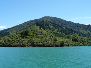 Obraz premium Bootstour durch die Marlborough Sounds, Südinsel Neuseeland