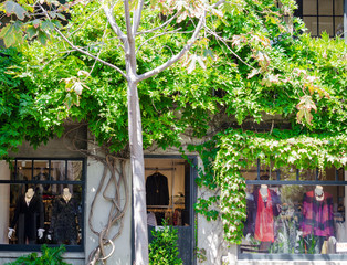 Clothes boutique in California