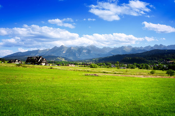 Fototapeta na wymiar Summer landscape with beautiful mountains