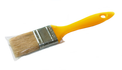 Brush for paint in the package