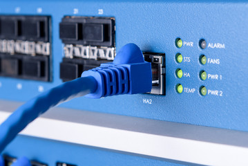 UTP Cat5 e on network switch